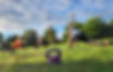 297736842_2741477062663883_6034764935241464455_n_edited.jpg