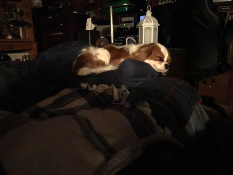 Goodnight world!