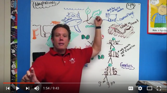 Student Help Form | team