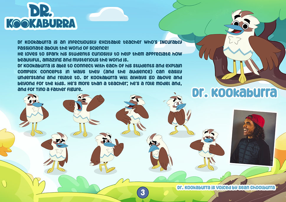 DR K Pitch_Page 3.jpg
