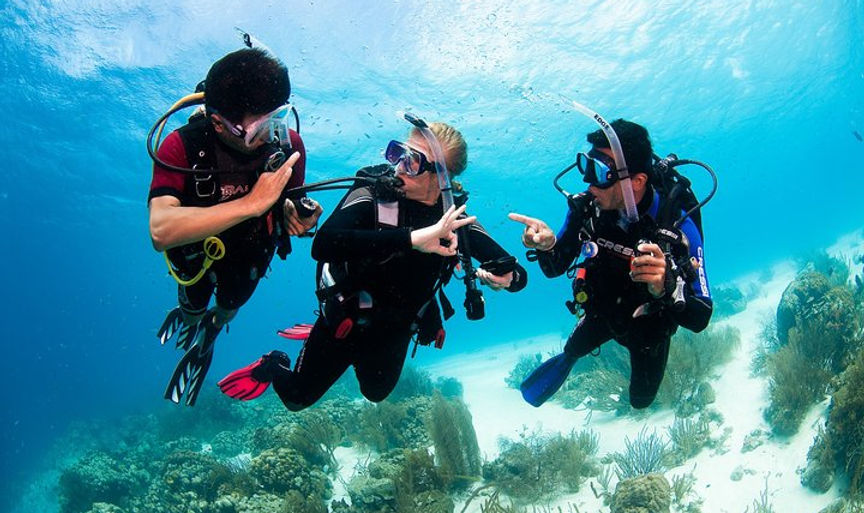 guided dive.jpg