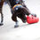 Thumbnail: Kong Wobbler