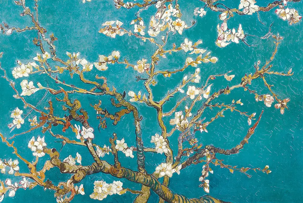 AP616_Van_Gogh_Almond_24x36.webp