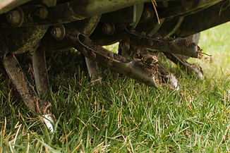 Core aeration on fescue lawn with aerator.jpg