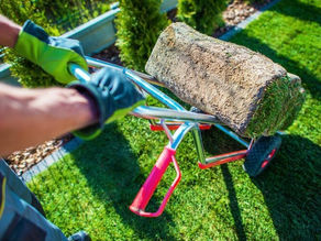 Why Hire a Trusted Prescott Landscaper for Your Yard