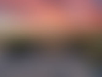  Pavers vs. Concrete Side Paths: Which is Better for Your Prescott Landscape?