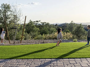 How to Choose the Right Plants for Prescott’s Climate | R.E. and Sons Landscaping