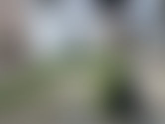 landscaping prescott