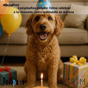 Cumpleaños peludo: Cómo celebrar a tu mascota como realmente se merece