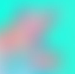 El arte de alimentar a tus peludos: consejos para una dieta saludable y balanceada