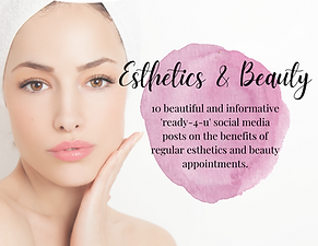 0 esthetics - cover.png