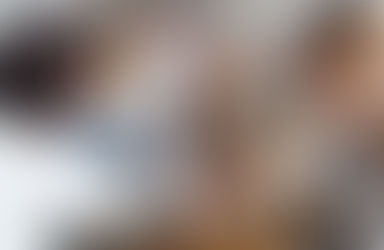 A presença da fisioterapia em equipes multidisciplinares: crescimento na saúde pública e privada