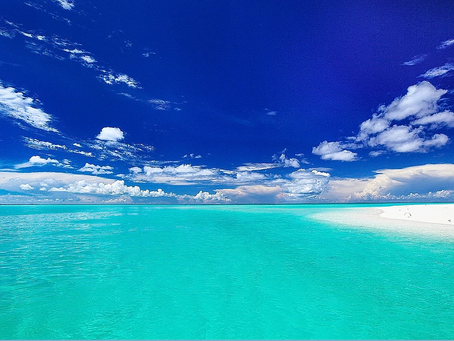Into the Blue