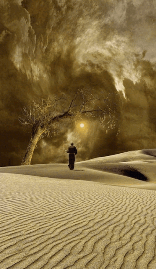 deserto3.gif