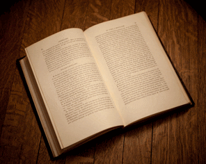 livro0001.gif
