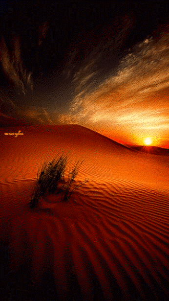 6ffcba68ac78e8c2a97cc574e6f94ee2.gif