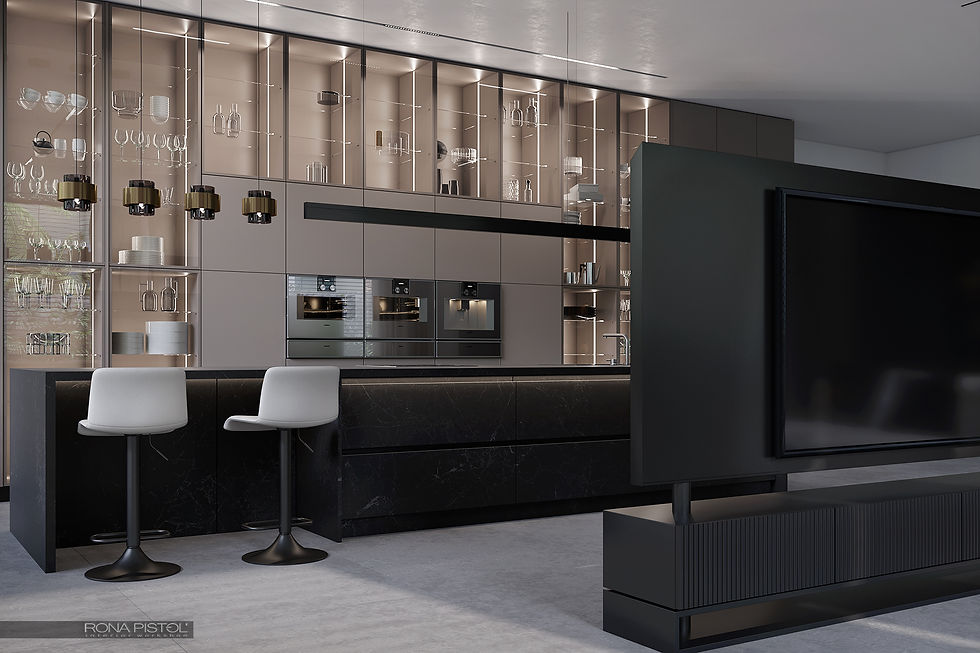Rona_Pistol_09_modern_kitchen_idea.jpg