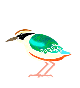 banim_yairo