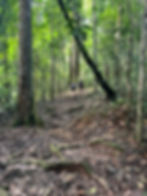 Sprout & Guía Mateo