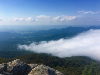 The Shenandoahs: 100 days & 1,300 miles