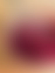 HOLIDAY RECIPE TIP:DITCH THE CANNED CRANBERRY SAUCE