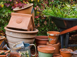 In Your Garden