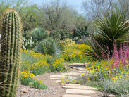 SUMMER GARDENING