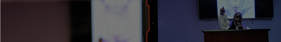 Gallery Strip Background.png