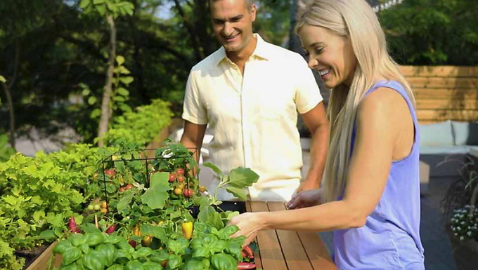 2023/2024 
Patio & Garden