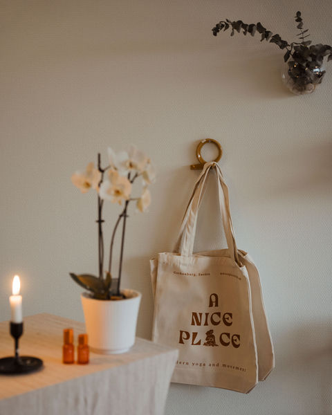 A Nice Place Merchandise