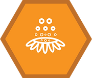 Pollination
