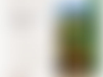 FRIDAY FEEDBACK 22 JUNE 2020