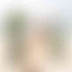 Newly married couple kissing below their ceremony arbor