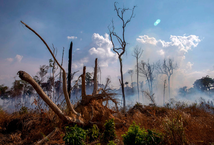 What would happen if the Amazon Rainforest ceased to exist?
