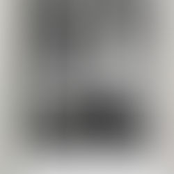 Christina Price Washington: Beyond Oglethorpe