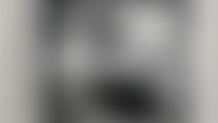 Christina Price Washington: Beyond Oglethorpe