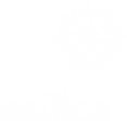 Asilica_logo.png