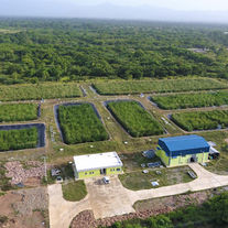 Soluciones Innovadoras en Ingeniería Sostenible