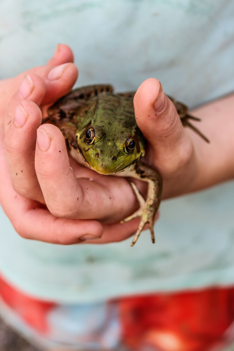 Catch of the Day, Vermont
