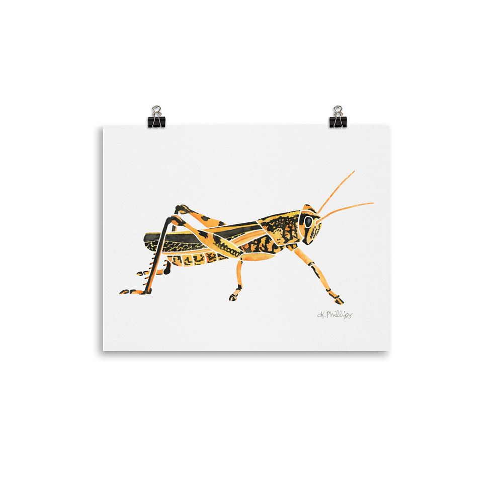 Thumbnail: Grasshopper • Art Print