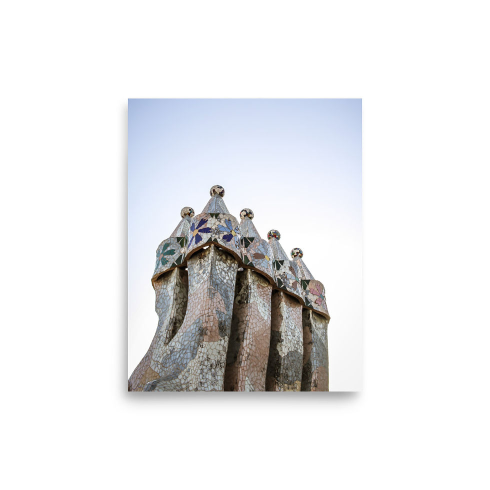 Thumbnail: Casa Battlo Skyward • Photographic Print