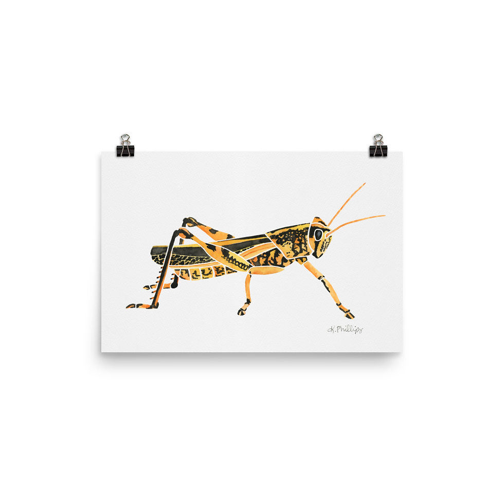 Thumbnail: Grasshopper • Art Print