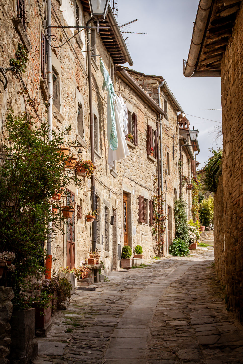 Cortona