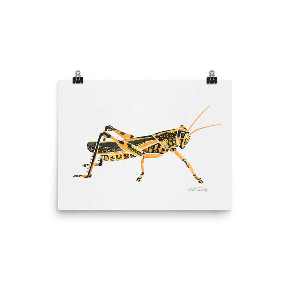 Thumbnail: Grasshopper • Art Print