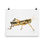 Thumbnail: Grasshopper • Art Print