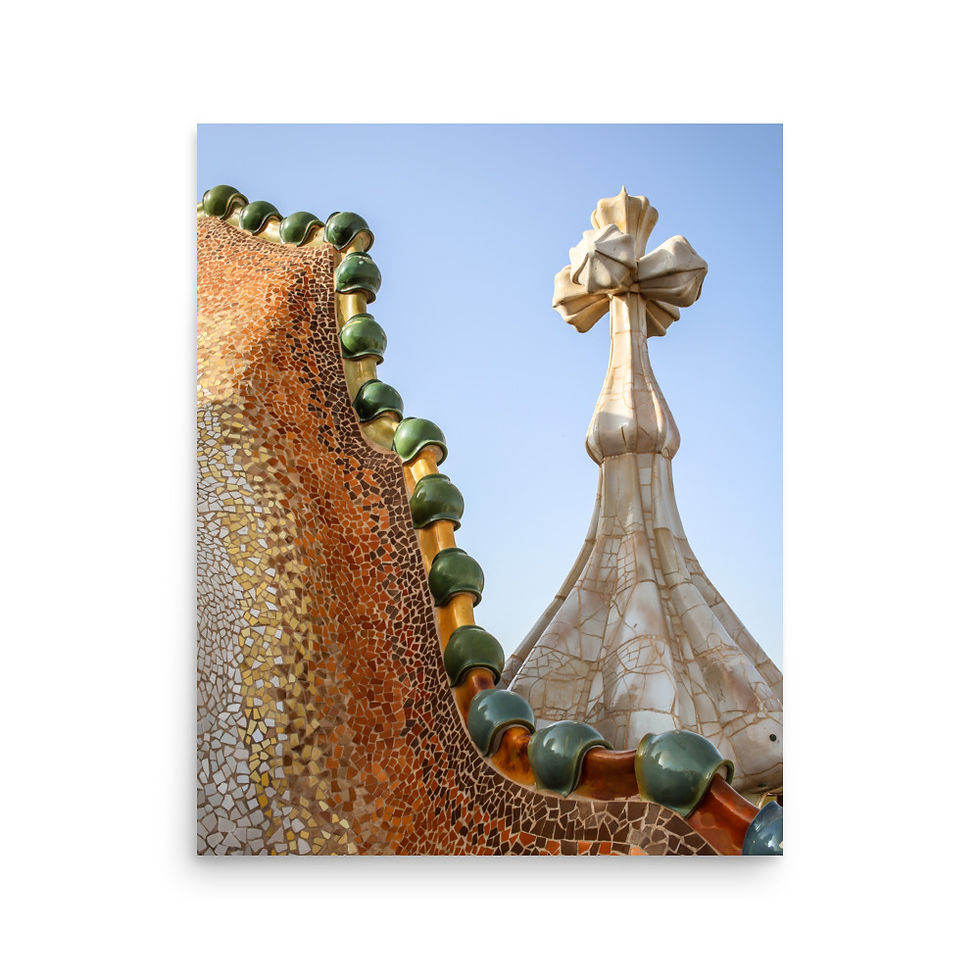Thumbnail: Casa Battlo Roofline • Photographic Print