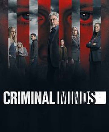 Criminal Minds : tv series 