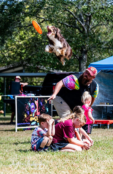 Houston Dog Show
