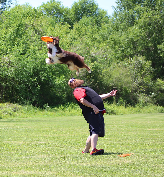 Houston Dog Show