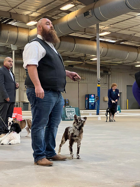 Houston Dog Show